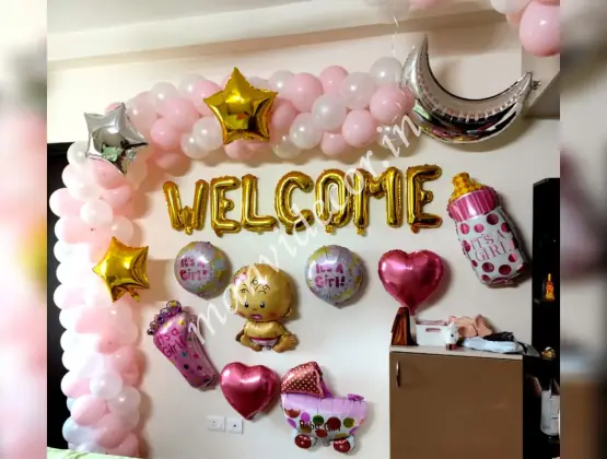 Baby Welcome Girl Theme Decor