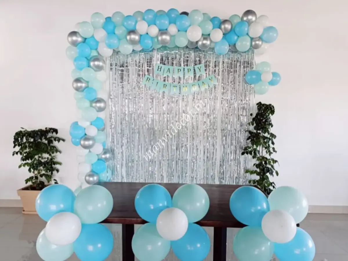 Surprise Birthday Backdrop Decoration