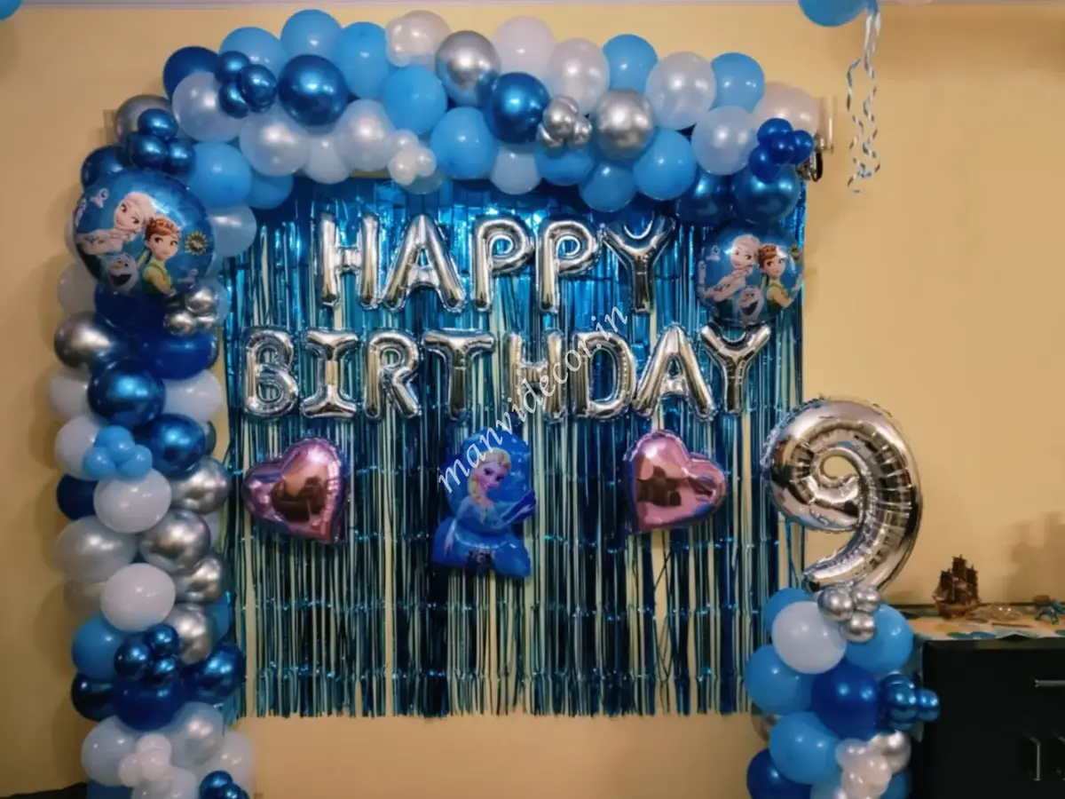 Disney Frozen Birthday Setup