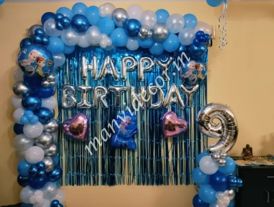 Disney Frozen Birthday Setup