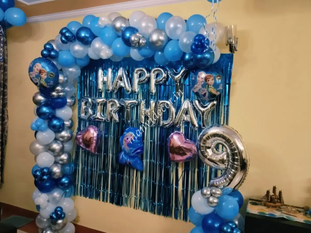 Disney Frozen Birthday Setup