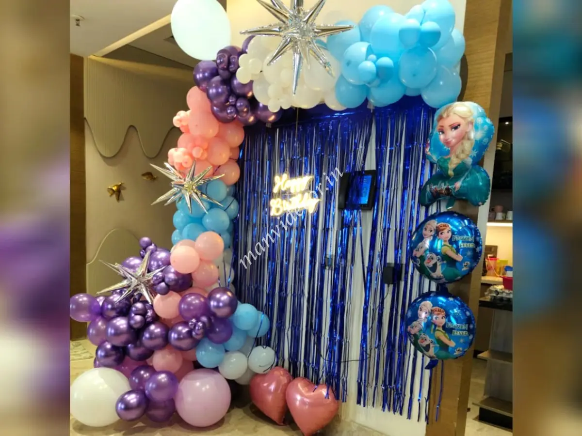 Frozen Birthday  Decoration