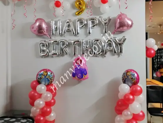 Sofia Princess Birthday Decor
