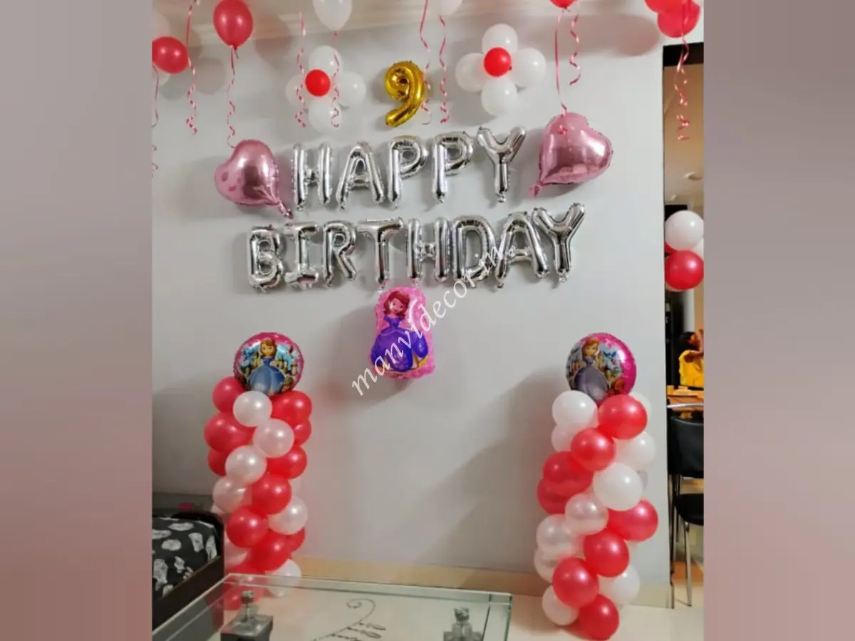 Simple Sofia Princess Birthday Decor