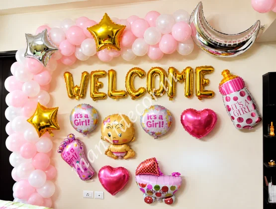 Baby Welcome Girl Theme Decor